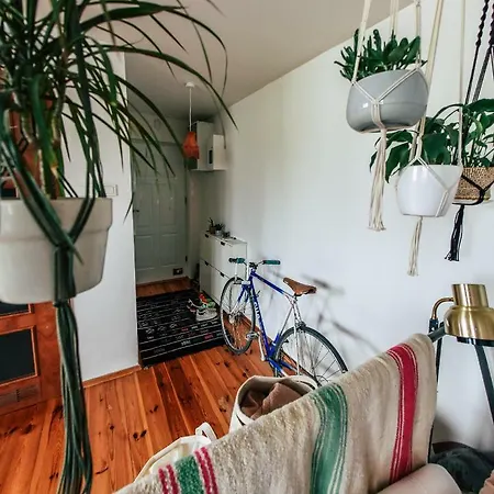 Apartament Makrama 아파트 *